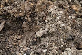 Gardening In Heavy Clay Soil