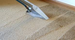 commercial carpet cleaning tuakau