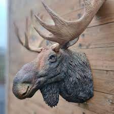 Moose Head Wall Art Airbrushed And Hand