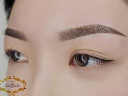 microshading powder brows and ombre brows
