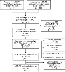 Figure Flow Chart Of The Diagnostic And Treatment Pathway
