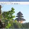 Xnview is an efficient image viewer, browser and converter for windows. 1