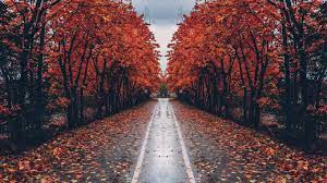 Autumn Street - HD Wallpaper by EPARAX ...