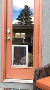 The Best Sliding Glass Door Dog Doors