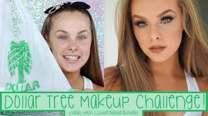 dollar tree makeup challenge collab