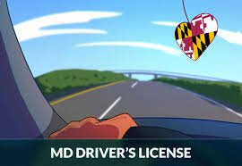 getting your maryland driver s license