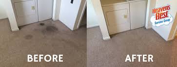stains out of your carpet in hoover al