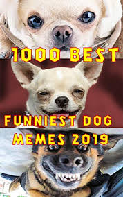 Memes have us wondering do these animal really think like that. 1000 Best Funniest Dog Memes Best Dog Memes Clean Dog Memes For Kids That Get Millions Of Shares In Social Media By Web Academy School