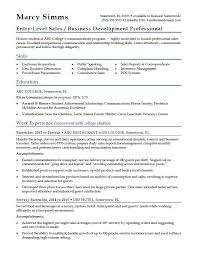 It includes an outline for each. Entry Level Sales Resume Sample Monster Com