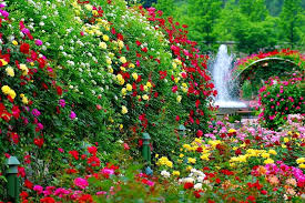 beautiful garden fountain bonito
