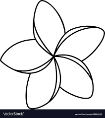 tropical flower outline royalty free