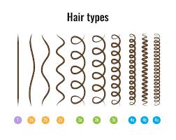 Natural Hair Types Curly Wavy Kinky Straight Charts Test