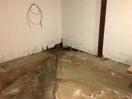After scrubbing the surfaces, simply allow the bleach solution to continue to penetrate the surfaces and dry. Moist Basements And Basement Mold Foundation Recovery Systems