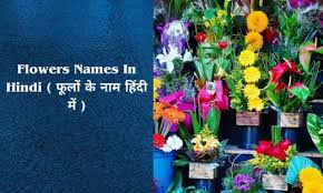60 flowers names in hindi ६० फ ल
