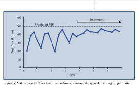 Figure 5 From Spirometry An Essential Clinical Measurement