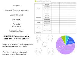 Color Customization The Aveda Difference Ppt Video Online