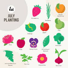 July Gardening Guide
