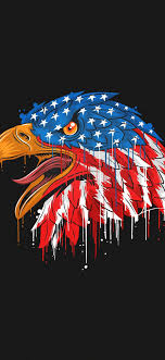 1125x2436 american flag eagle minimal