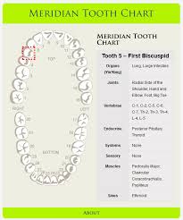 Meridian Tooth Chart Tooth Chart Teeth Health Teeth