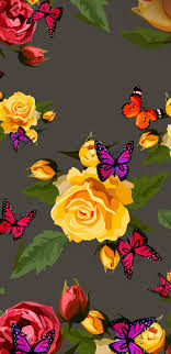 HD rainbow rose & butterflies ...