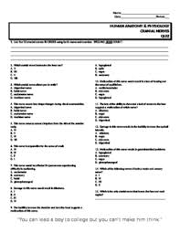 Cranial Nerves Worksheets Teaching Resources Tpt