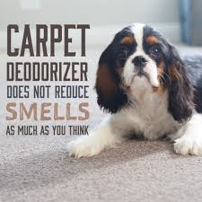 carpet deodorizer does not remove