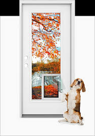 Pet Doors Of Denton Premium Pet Door