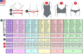 How To Measure Your Bra And Underwear Size Innerwear Pk