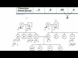 Videos Matching How To Solve Abo Blood Type Problems Using