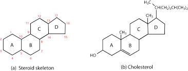 lipids