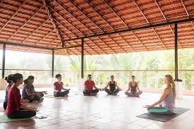 yin yoga therapy teacher training