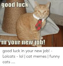 192 966 tykkäystä · 623 puhuu tästä. Good Luck In Your New Job Good Luck In Your New Job Lolcats Lol Cat Memes Funny Cats Cats Meme On Me Me