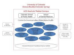 Ucd Affiliated Org Chart Colorado School Of Public Health