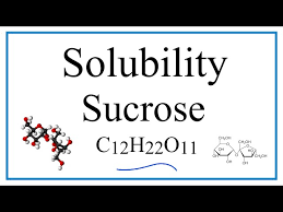 Solubility Of Sucrose C12h22o11 In