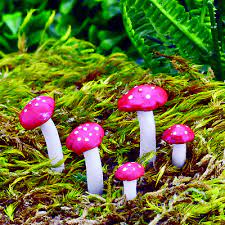 Fairy Garden Toadstools And Mushrooms