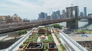 See A Rooftop Garden In Brooklyn