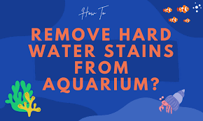 Remove Hard Water Stains From Aquarium