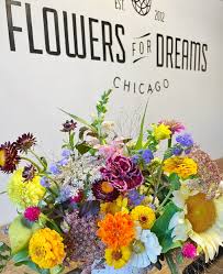 flowers for dreams alexandra rovetto