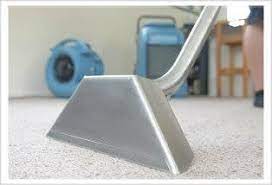 elite carpet cleaning carpet cleaning