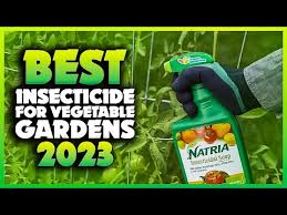 best insecticide for vegetable gardens