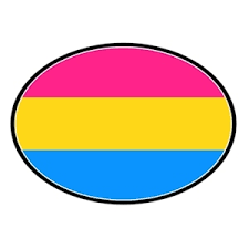 Pansexual people may be described as being gender blind showing that gender is not a factor in their attraction to a person. Pansexual Flag Lgbt Pan Pride Oval Car Magnet Pan Sexual Flag Pride Shack