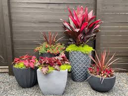 3 potted plant arrangement ideas for a