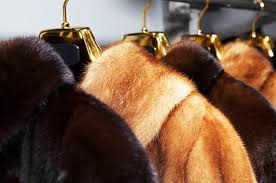 Fur Coats Accessories Ram Leather Care