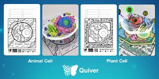 We did not find results for: Quivervision On Twitter Our Animal Cell Ar Coloring Page Is A Huge Hit And The Long Awaited Plant Cell Page Is Available Now Ar4learning Https T Co 9teekc1ne4