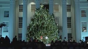 state christmas tree lit up