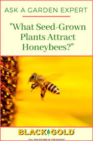 It turns out that flowers are an essential ingredient in establishing a healthy garden because they attract beneficial insects and birds, which control pests and pollinate crops. What Seed Grown Plants Attract Honeybees Growing Seeds Plants Garden Care