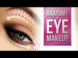 anatomy of eye makeup pretty smart