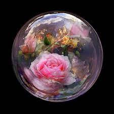 Water Filled Globe With Pink Roses