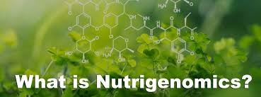nutrigenomics graduate certificate