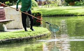 Basic Pond Maintenance Tips Waterline